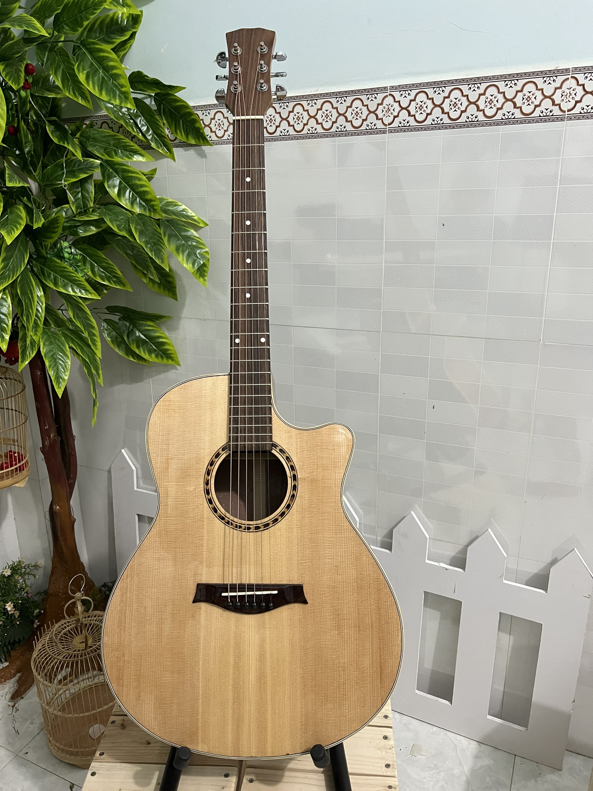 GUITAR HỒNG ĐÀO VN