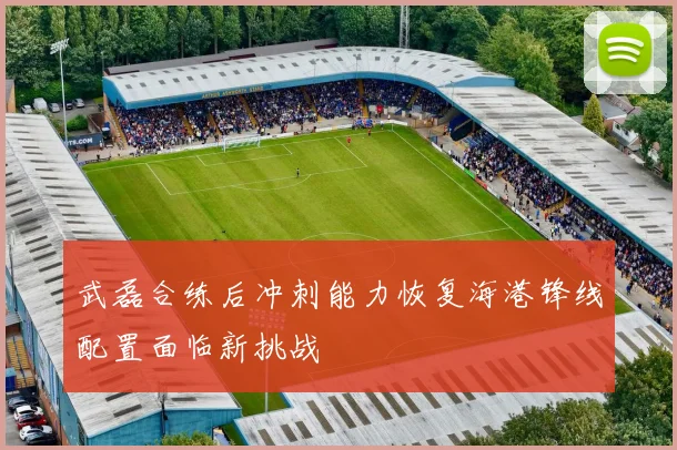 武磊合练后冲刺能力恢复海港锋线配置面临新挑战