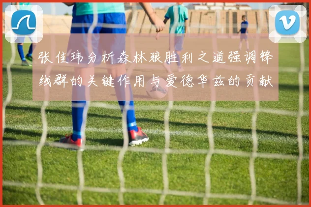 张佳玮分析森林狼胜利之道强调锋线群的关键作用与爱德华兹的贡献