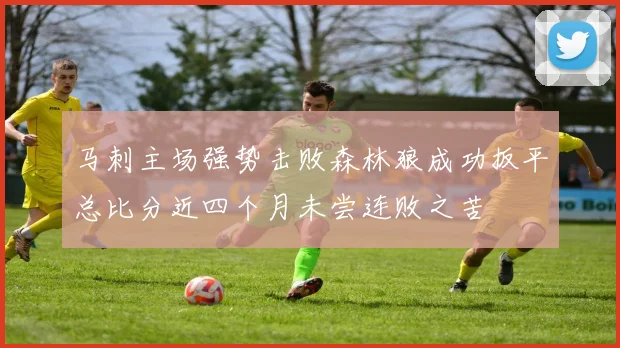 马刺主场强势击败森林狼成功扳平总比分近四个月未尝连败之苦